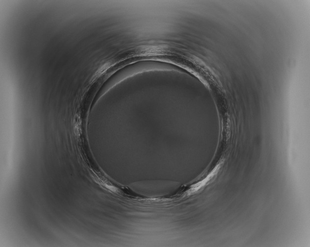 X0000116441449200912081547