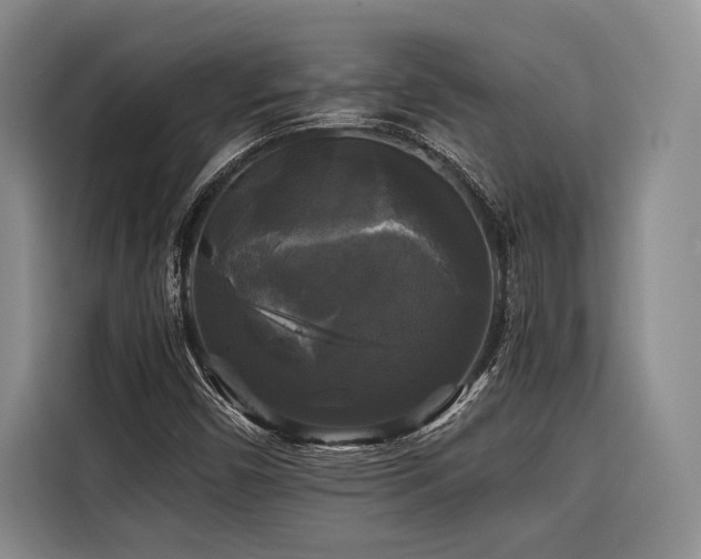 X0000116441450200912081547