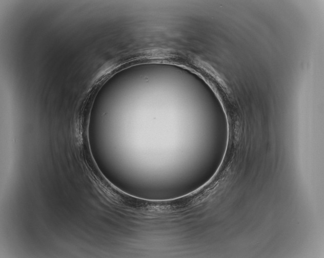 X0000116441451200912081547