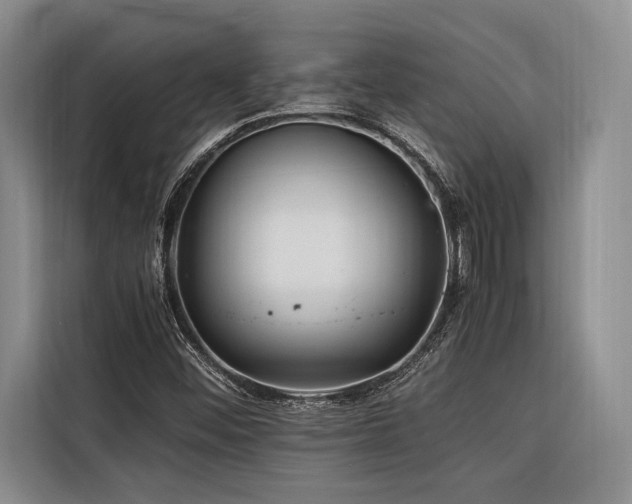 X0000116441452200912081547