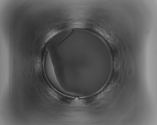 X0000116441453200912081547