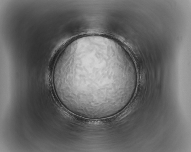 X0000116441454200912081547