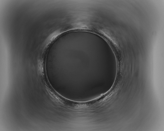 X0000116441455200912081547