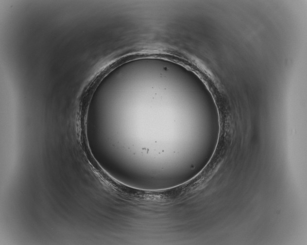 X0000116441456200912081547