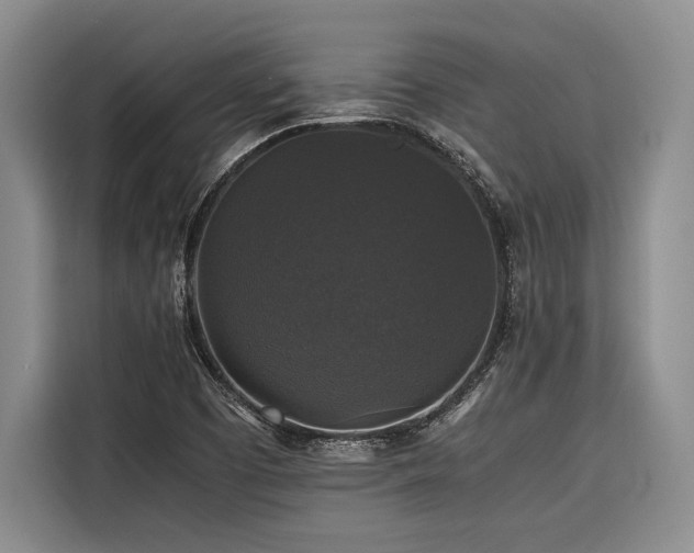 X0000116441457200912081547