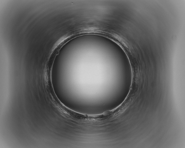 X0000116441458200912081547
