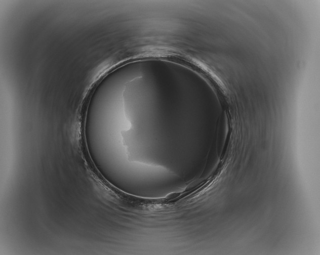 X0000116441459200912081547