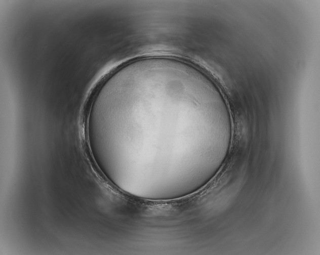 X0000116441462200912081547