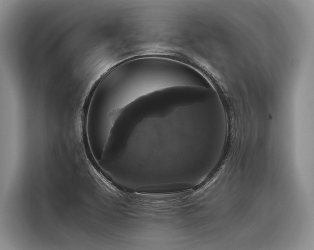 X0000116441463200912081546