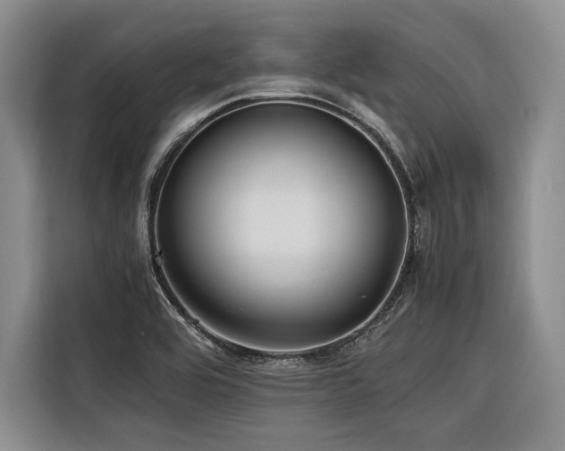 X0000116441464200912081546