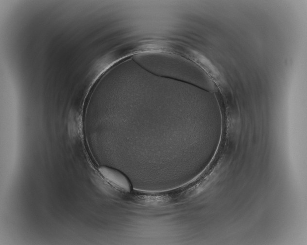 X0000116441465200912081546