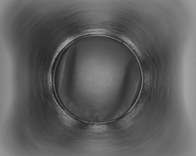 X0000116441466200912081546