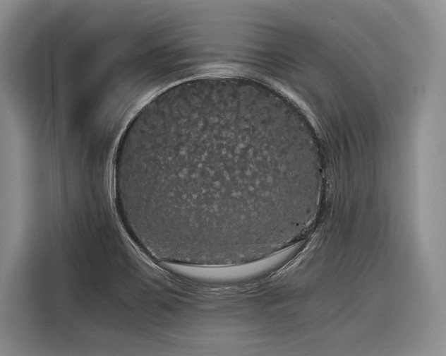 X0000116441467200912081546
