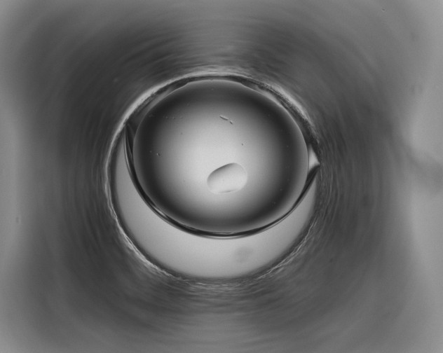 X0000116441468200912081546