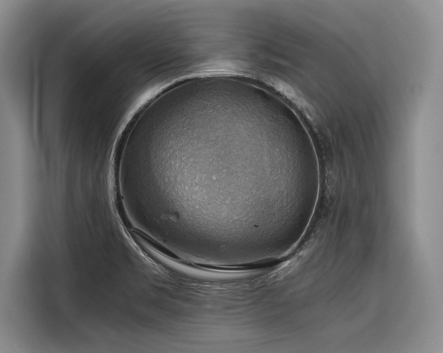 X0000116441469200912081546