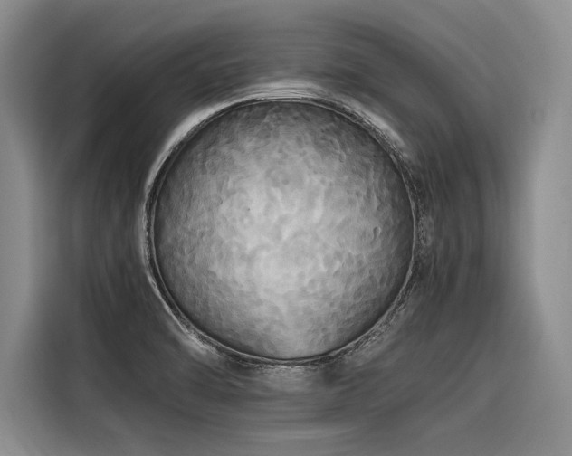 X0000116441470200912081546