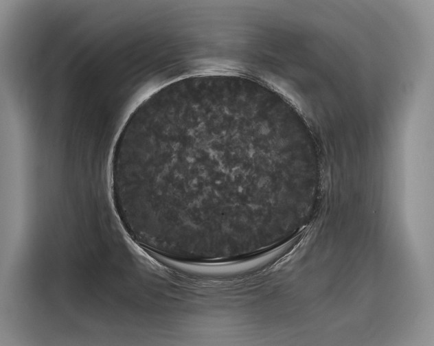 X0000116441471200912081546