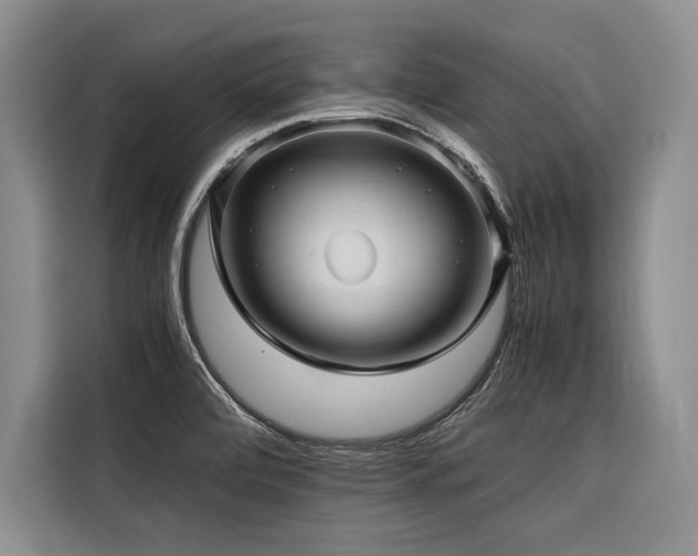 X0000116441472200912081546