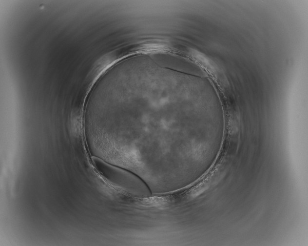 X0000116441473200912081546