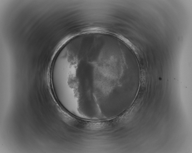 X0000116441474200912081546