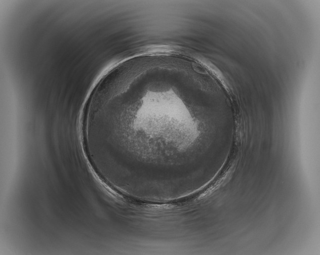 X0000116441475200912081546