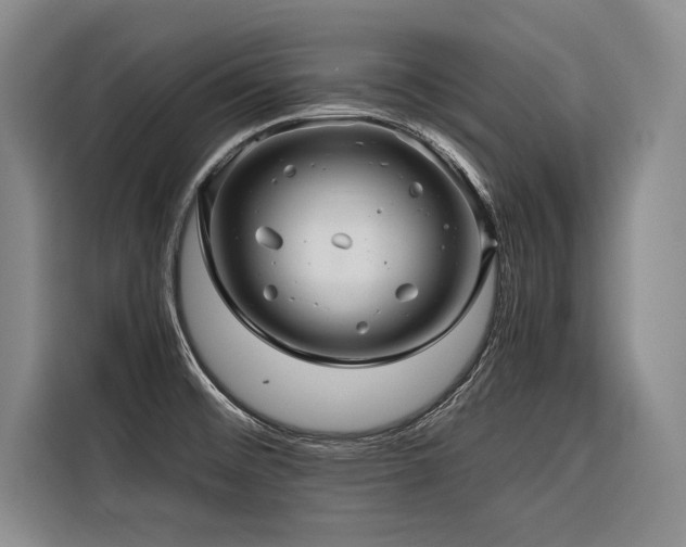 X0000116441476200912081546