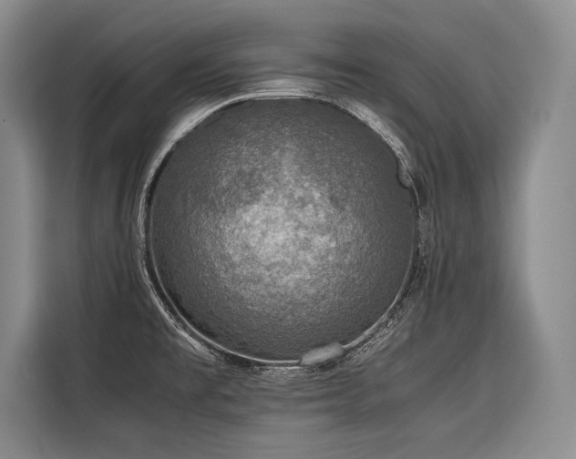X0000116441477200912081546