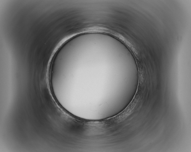 X0000116441478200912081546