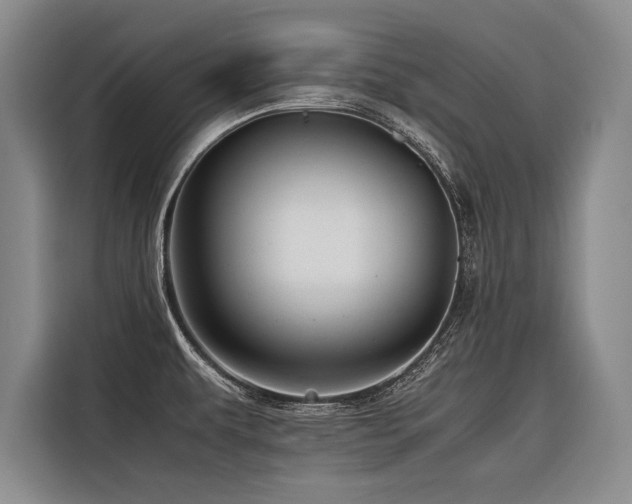 X0000116441479200912081546