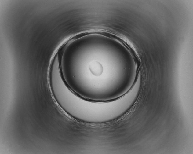 X0000116441480200912081546