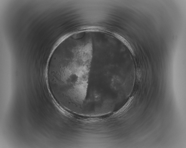 X0000116441482200912081546