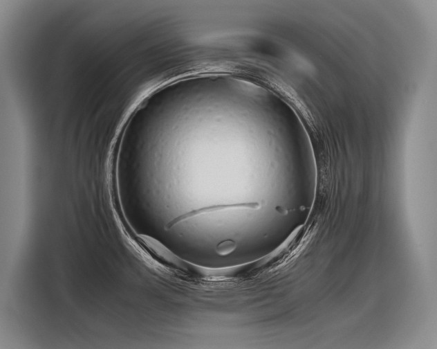 X0000116441483200912081546