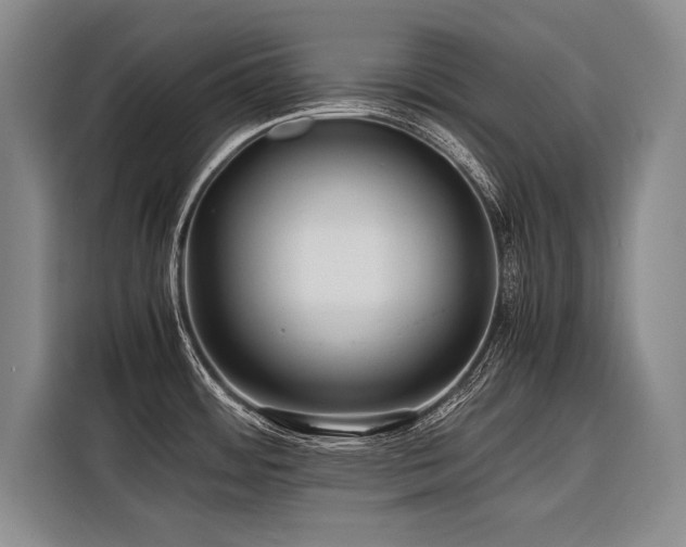 X0000116441484200912081546