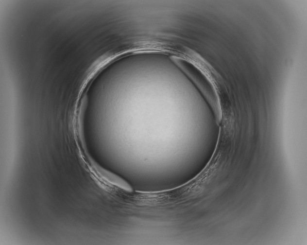 X0000116441485200912081546