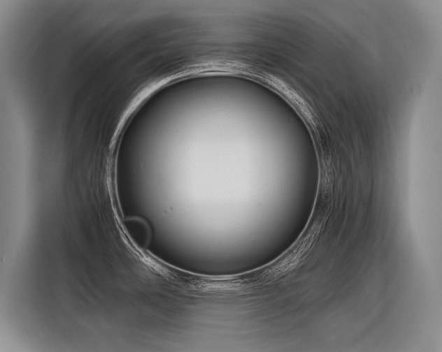 X0000116441486200912081546