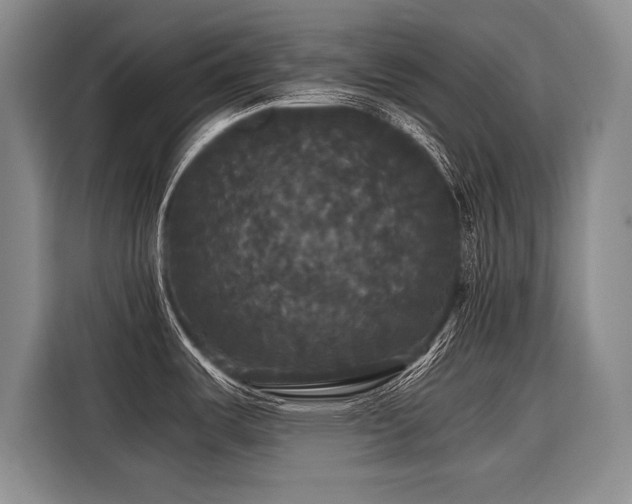 X0000116441487200912081546