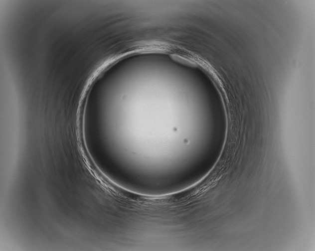 X0000116441488200912081546