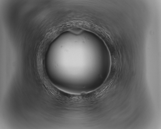 X0000116441489200912081546