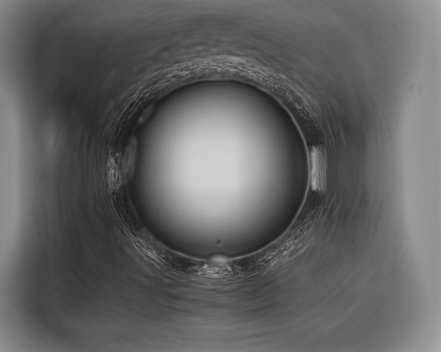X0000116441491200912081546