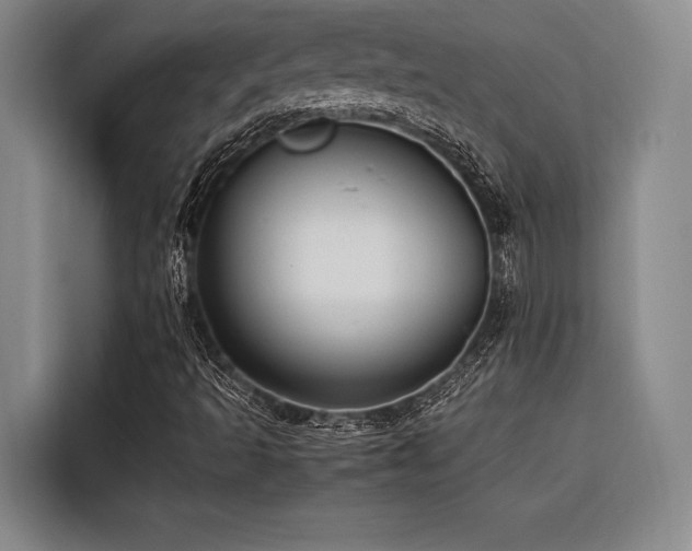 X0000116441493200912081546