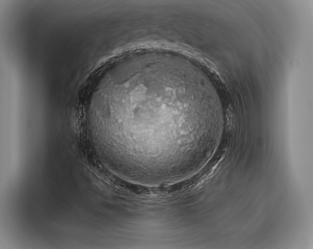 X0000116441494200912081546