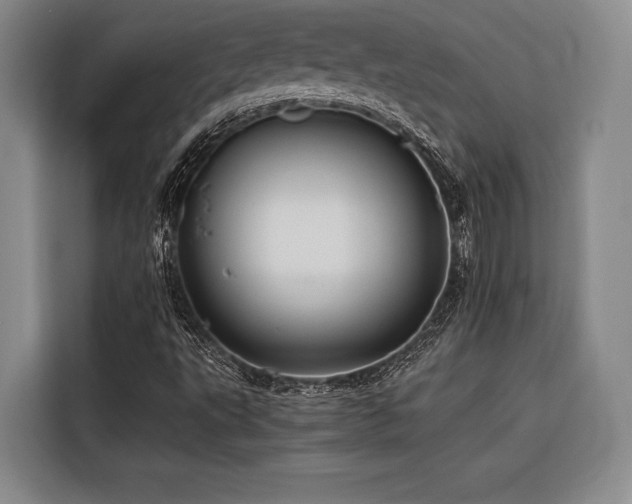 X0000116441495200912081546