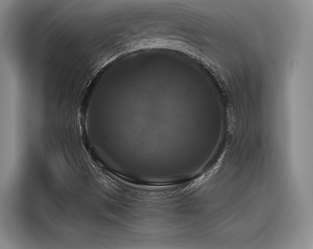 X0000116441497200912081546