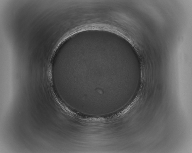 X0000116441498200912081546