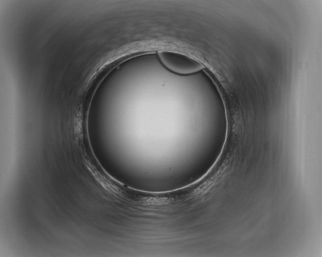 X0000116441499200912081546