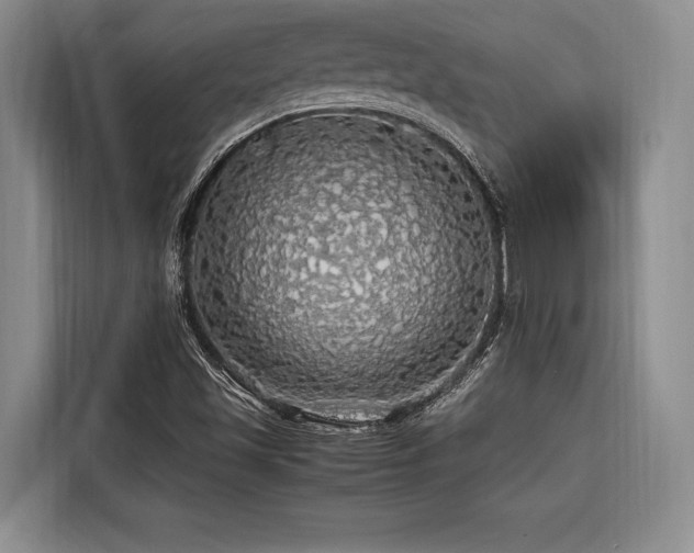 X0000116441501200912081546
