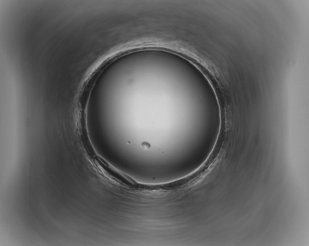 X0000116441502200912081546