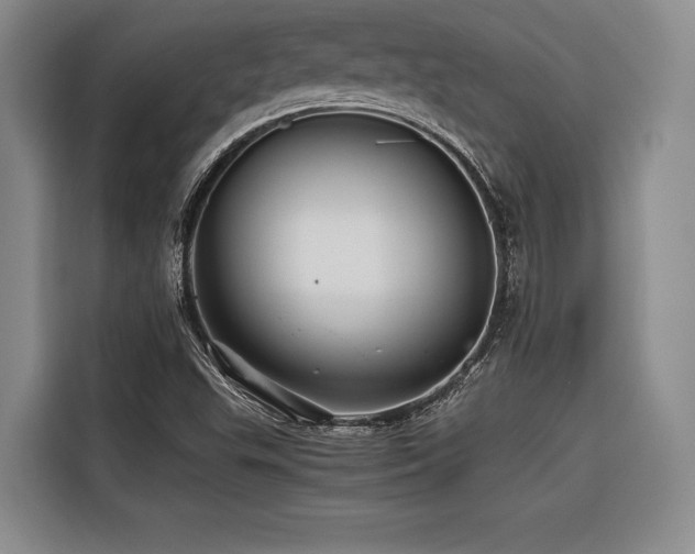 X0000116441503200912081546