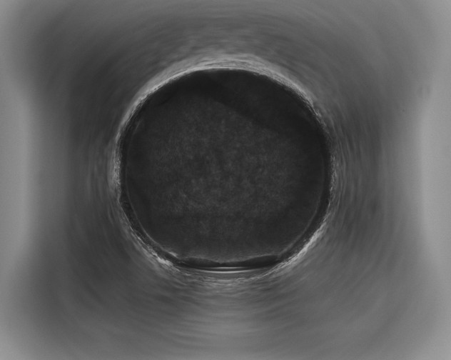 X0000116441506200912081546