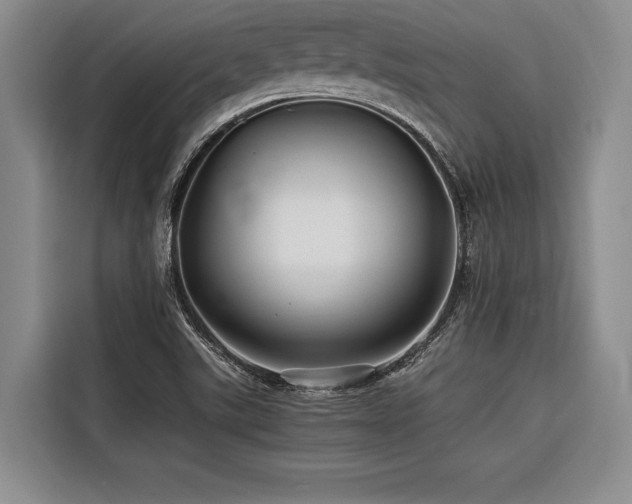 X0000116441507200912081546